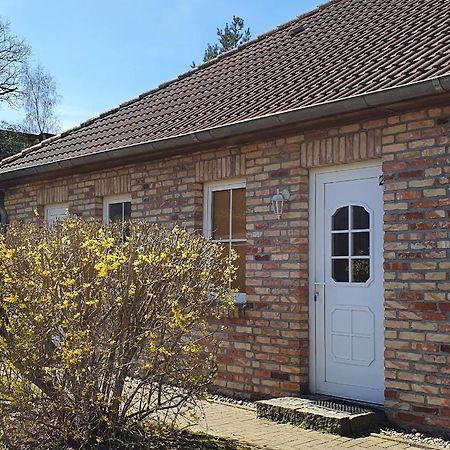 Ferienwohnungen Ruegen-Glueck Lohme Kültér fotó